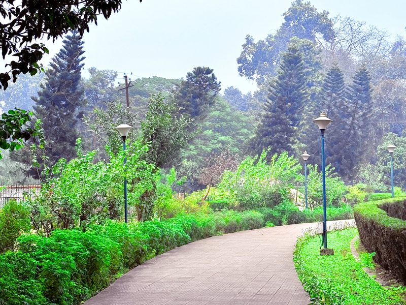 Untitled (800 x 600 px) Untitled (800 x 600 px)